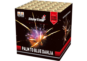 Palm to blue Dahlia